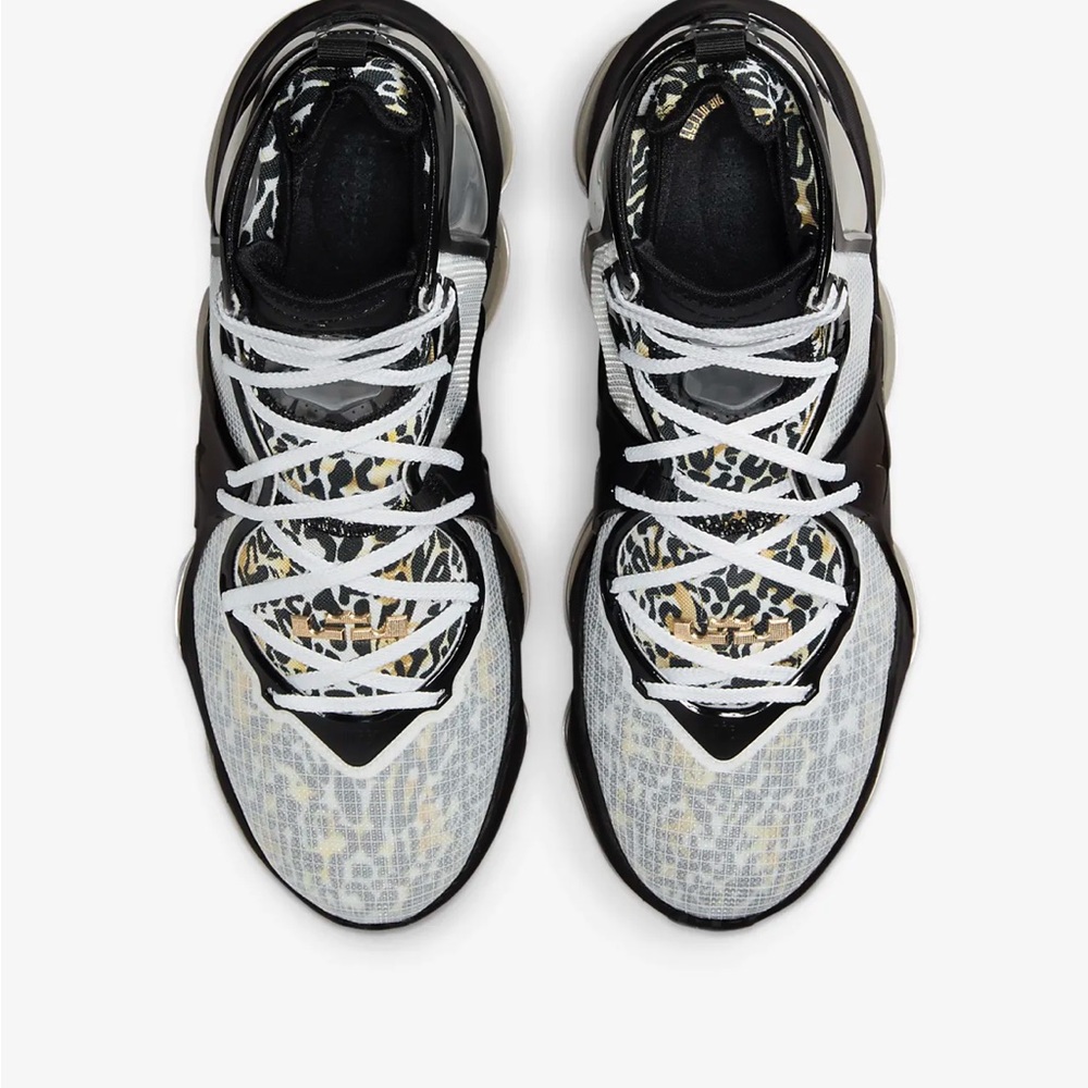 Nike Lebron 19